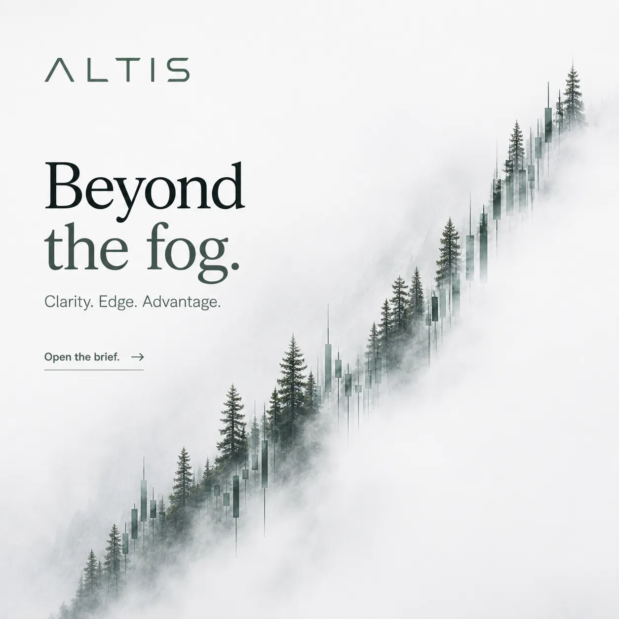 Altis: 'Beyond the fog.' — a misty treeline emerging from white fog